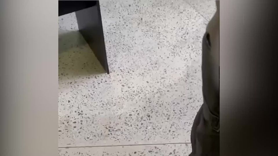  ,      ,      