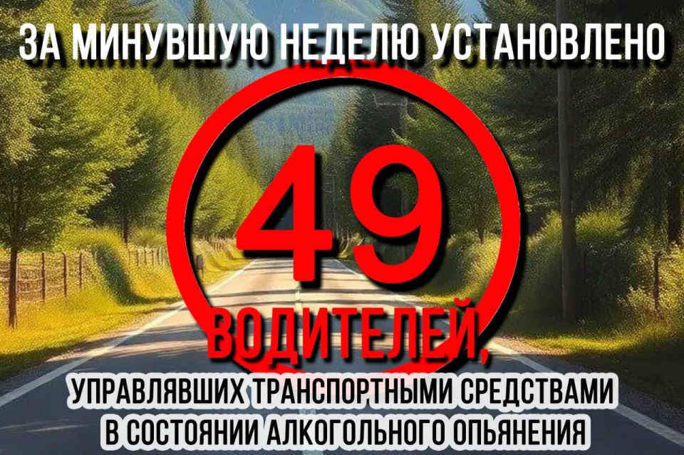 С 22 по 28 сентября 2025 года на дорогах региона зарегистрировано 206 ДТП, в которых 2 человека погибли, 12 пострадали