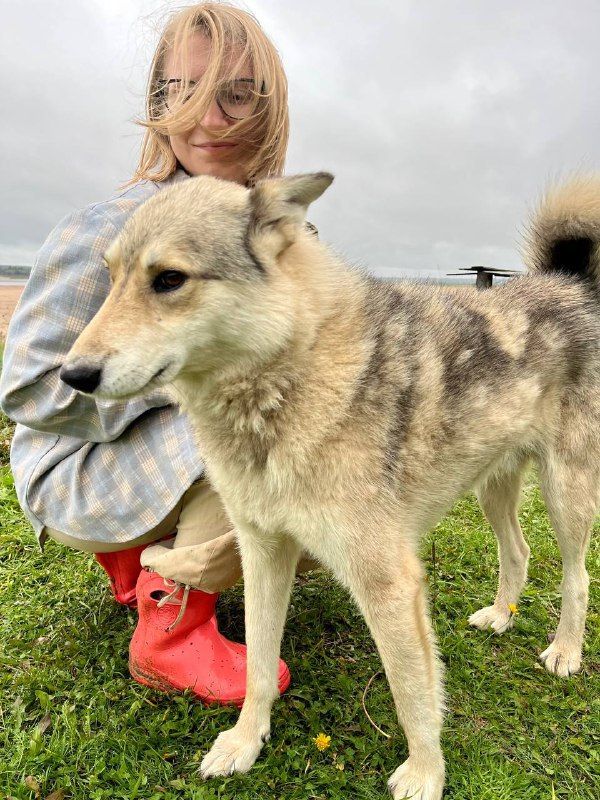 Голосуем за Архангельскую область!