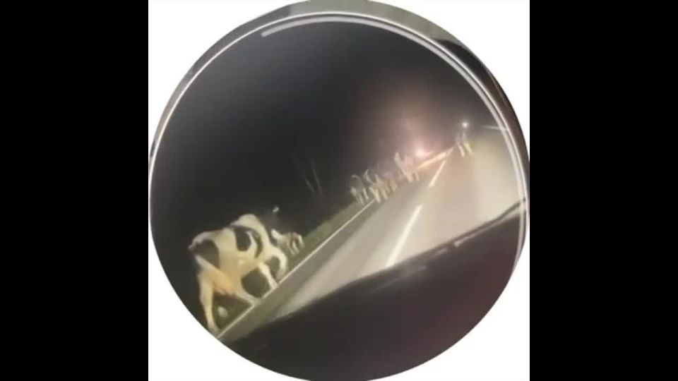    469-   &quot; -  -  - &quot;     