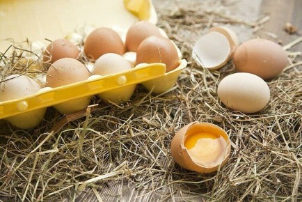 Секреты идеального обращения с яйцами