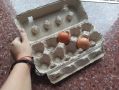 Неправдоподобный совет: как лотки для яиц могут спасти вашу прихожую этой осенью
