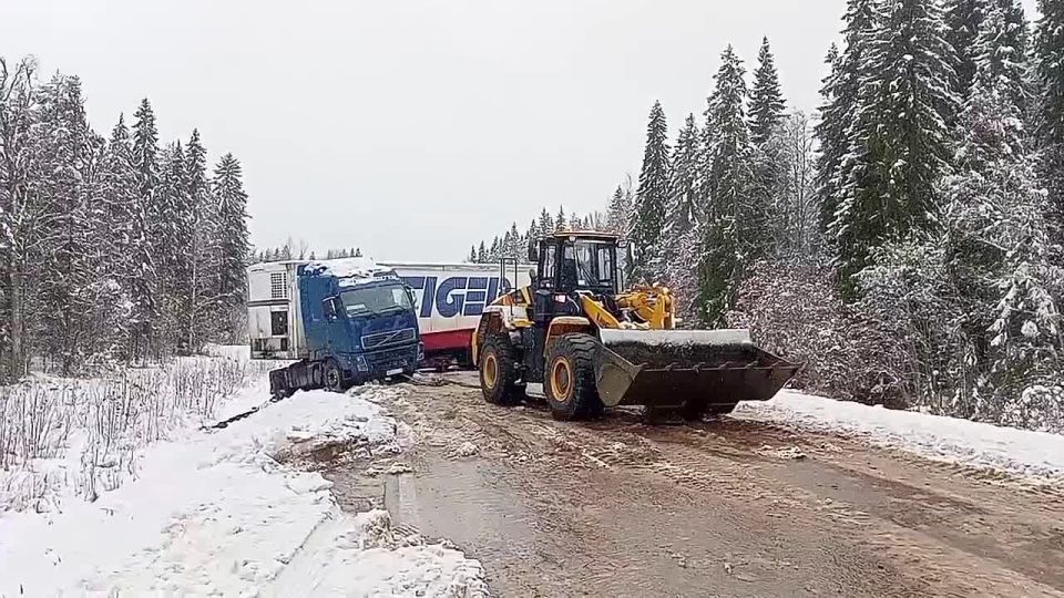     8 &quot;&quot; 