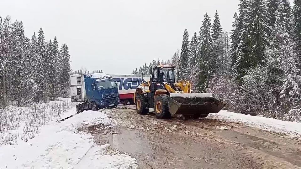  !.   8     
