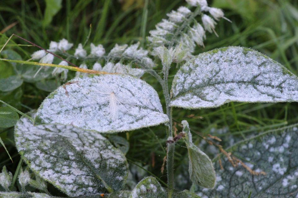 Доброе утро, регион!. Сегодня снова облачно