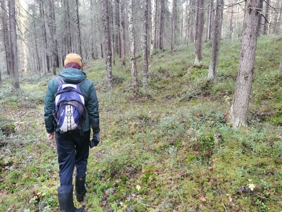 В Приморском округе продолжаются поиски пожилого мужчины