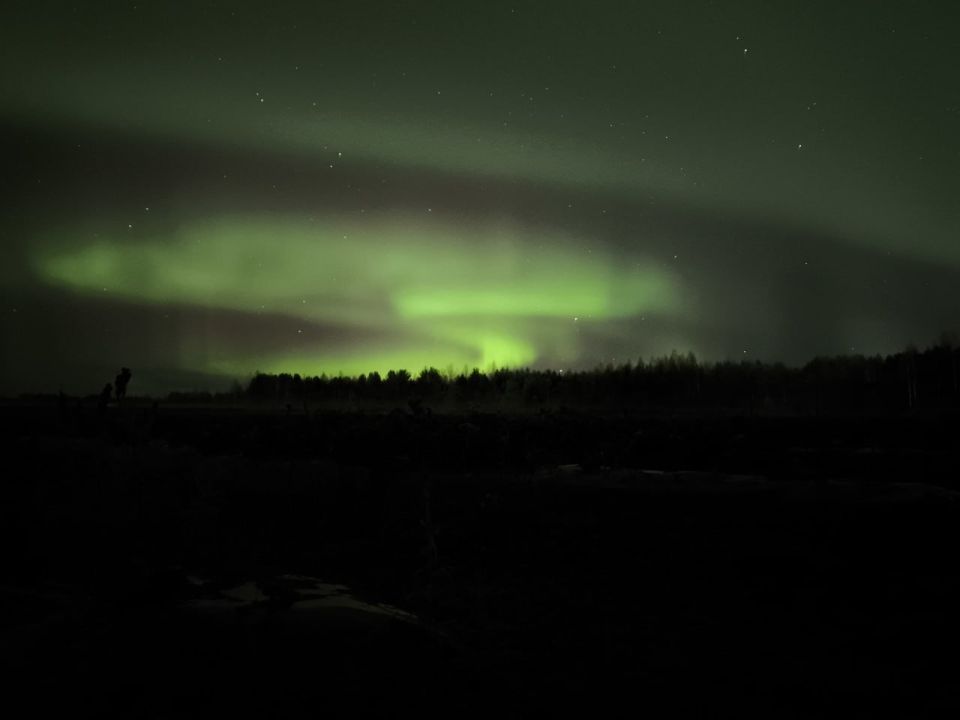 Небо в алмазах: яркое северное сияние попало в объективы камер россиян из разных уголков страны