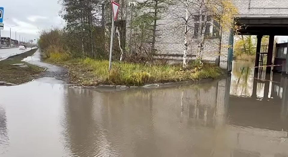  :      ,      ,      -    