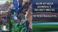 Тайны траншейного компостирования: как природа помогает улучшить урожай