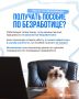 Пенсионеры на рынке труда: как избежать потери работы и искать новые возможности
