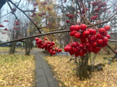 Доброе утро, регион!. Сегодня в Архангельской области ожидается облачная с прояснениями погода