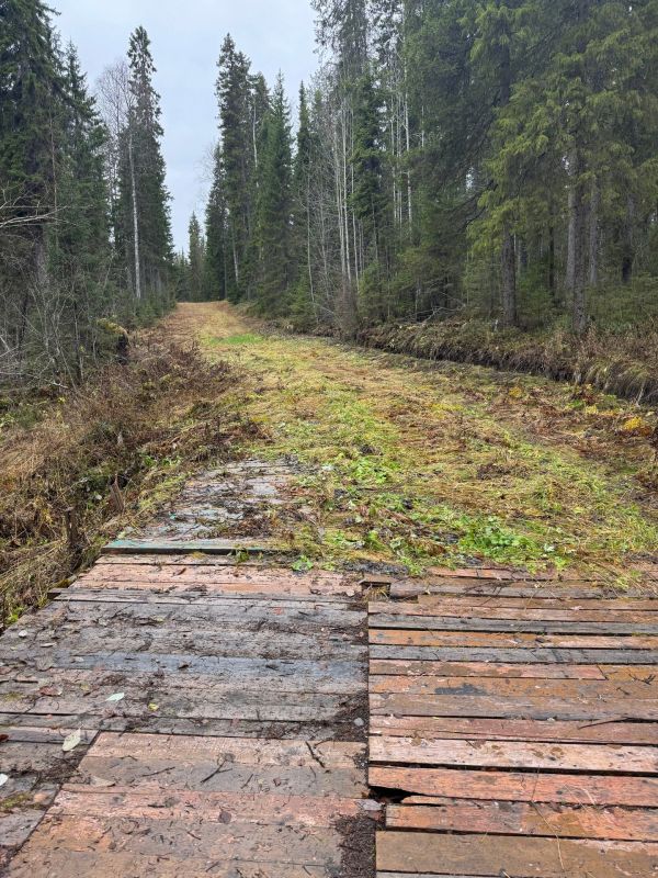 На лыжном стадионе имени В.С. Кузина в д. Малые Карелы всю неделю царит идеальная погода для подготовки трасс