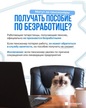 Пенсионеры на рынке труда: как избежать потери работы и искать новые возможности