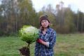 Как сохранить капусту свежей и аппетитной зимой