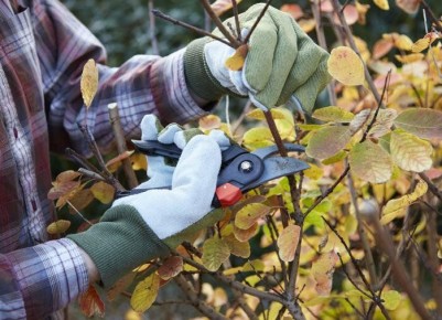 Девять ошибок в садоводстве, которые лучше не совершать