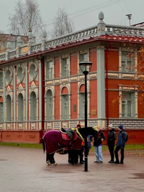 Осеннее настроение от Елены Нечаевой