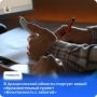 В Поморье для жителей старшего поколения запускают новый образовательный проект «Безопасность с заботой»