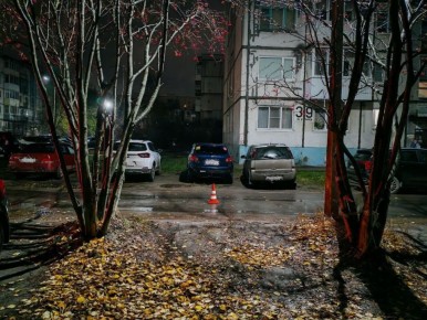 Сводка за 28 октября 2025 г