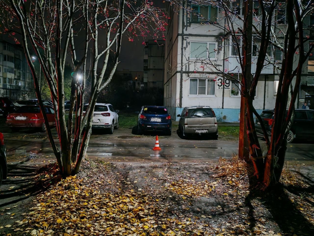 Сводка за 28 октября 2025 г