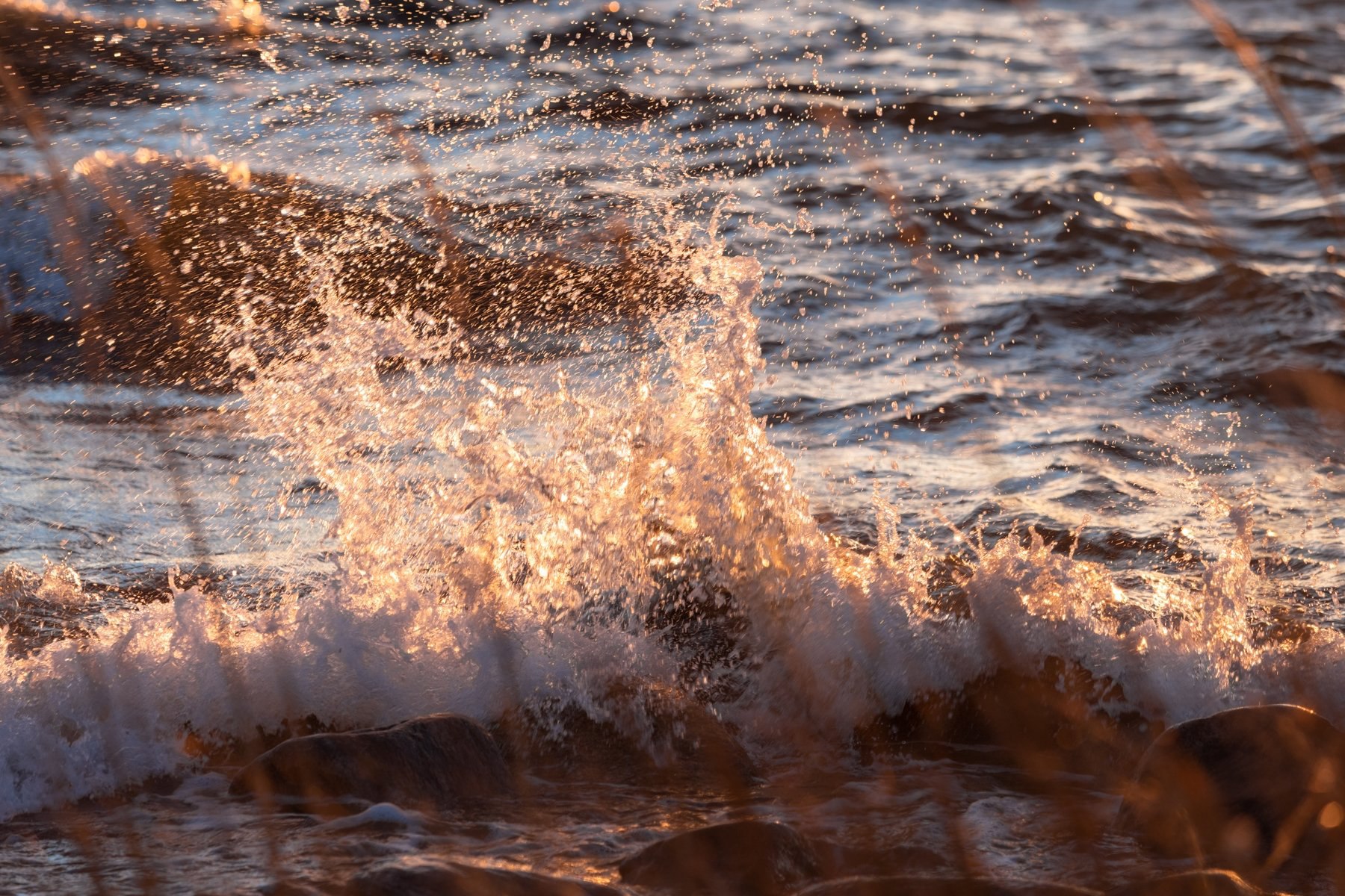 — Сейчас тихо, пустынно, хорошо на острове — Сейчас тихо, пустынно, хорошо на острове