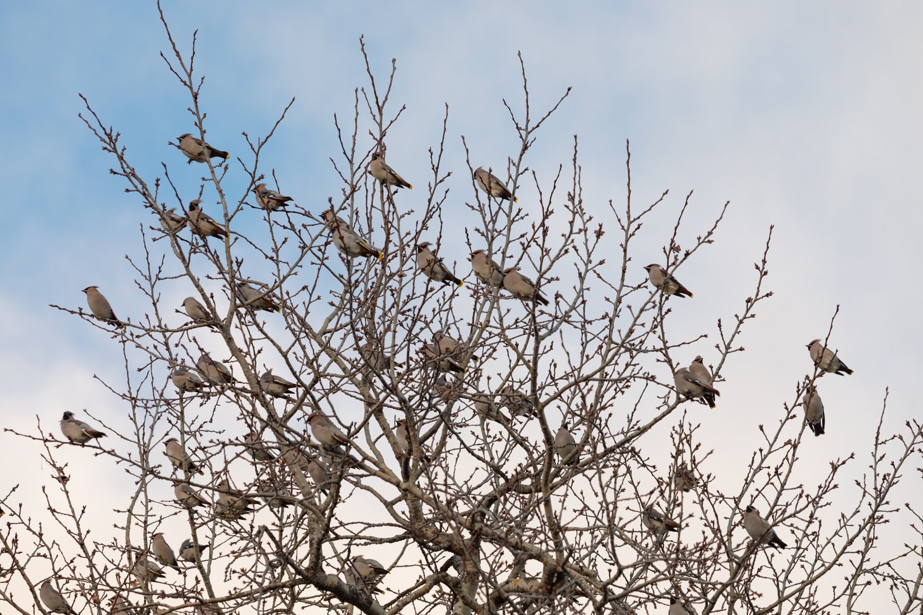 — Сейчас тихо, пустынно, хорошо на острове — Сейчас тихо, пустынно, хорошо на острове
