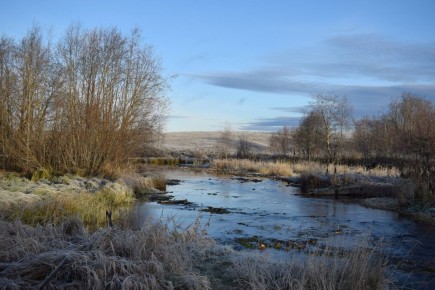 Морозное утро на реке Емца