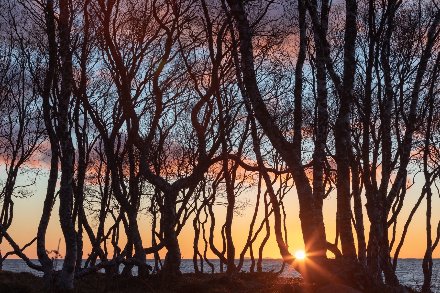 — Сейчас тихо, пустынно, хорошо на острове — Сейчас тихо, пустынно, хорошо на острове