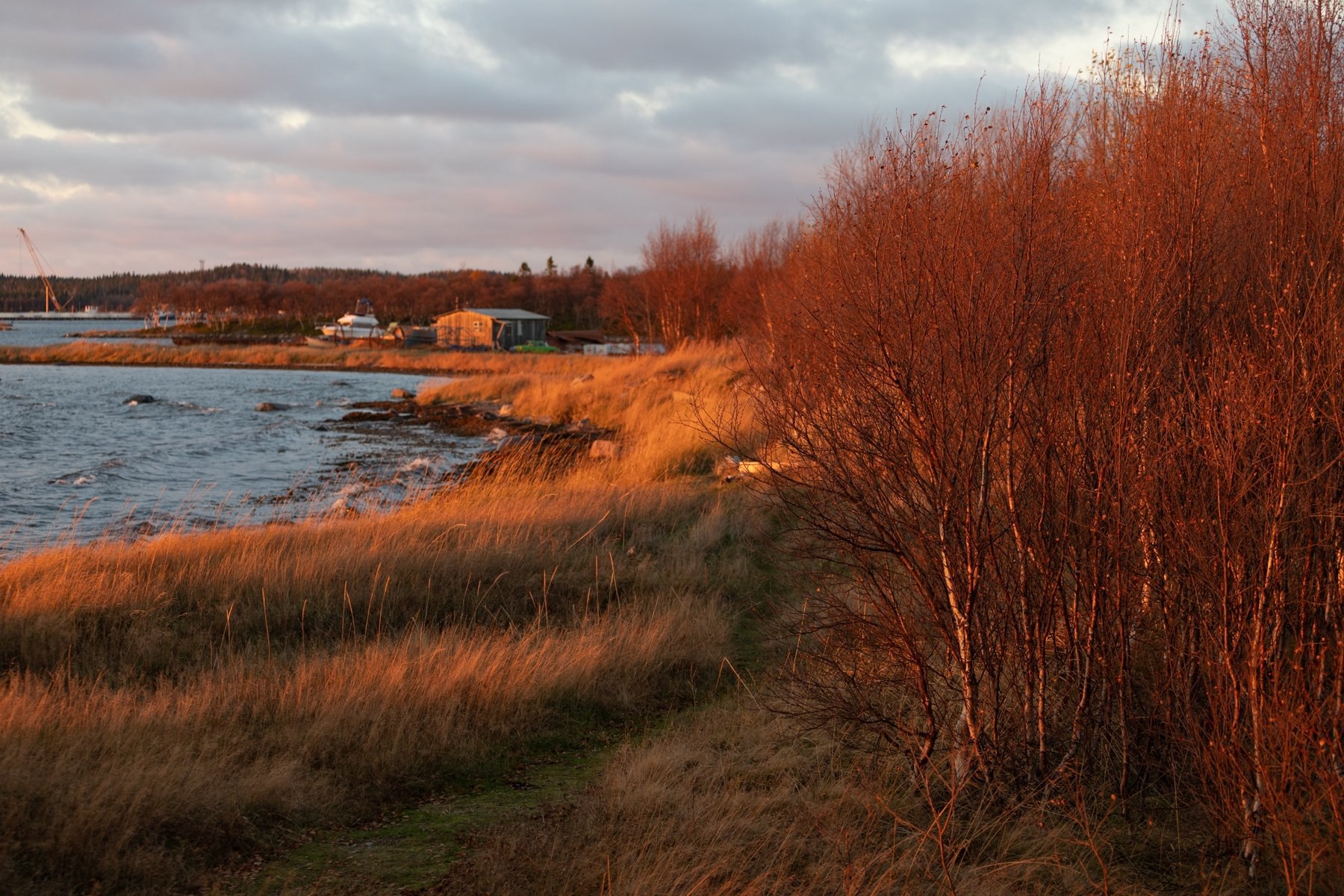 — Сейчас тихо, пустынно, хорошо на острове — Сейчас тихо, пустынно, хорошо на острове