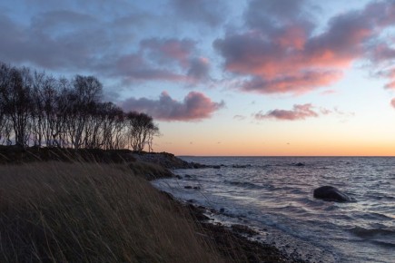 — Сейчас тихо, пустынно, хорошо на острове