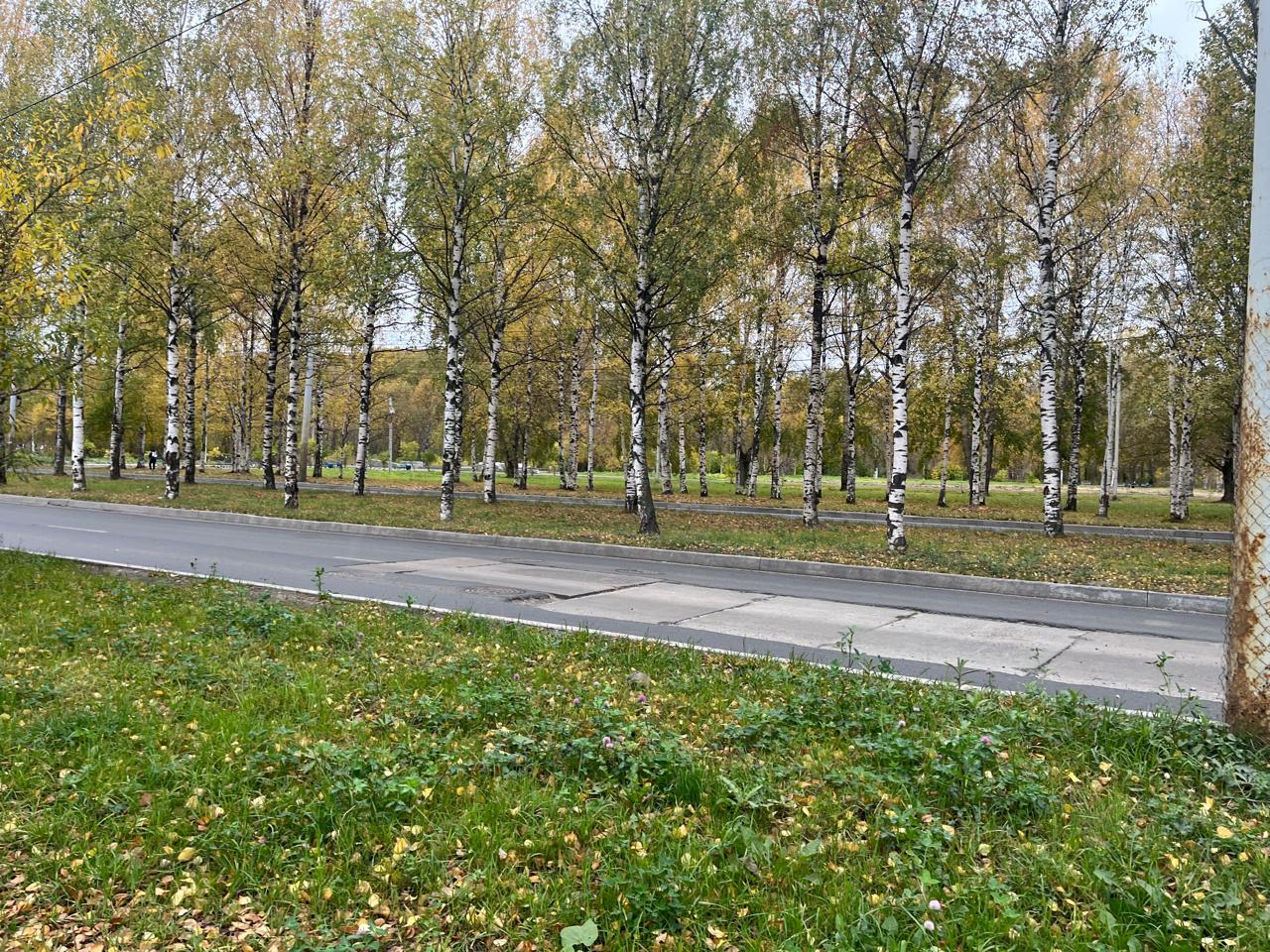 Штрафы за нарушение благоустройства составили более миллиона рублей Штрафы за нарушение благоустройства составили более миллиона рублей