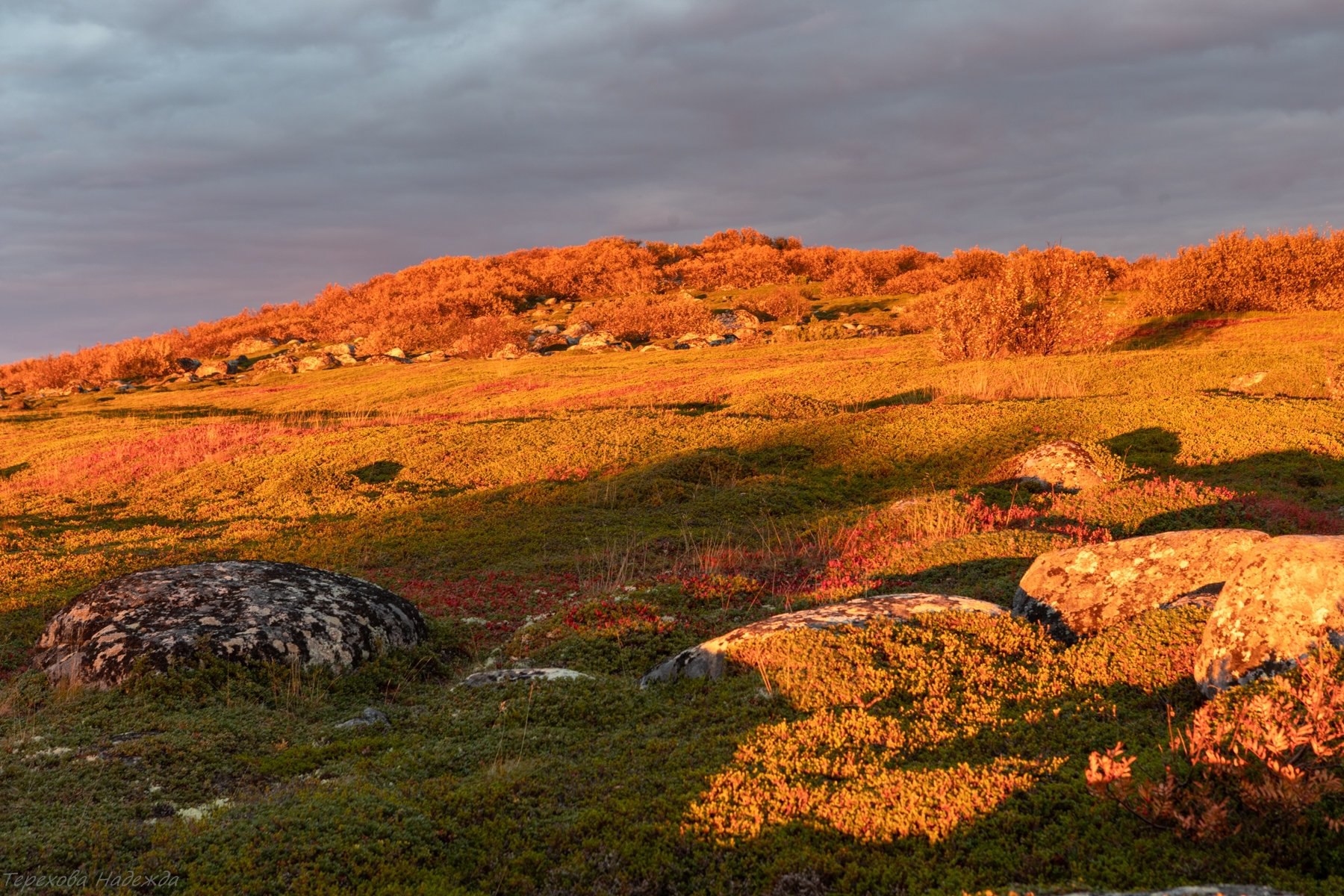 Красота Большого Заяцкого острова на октябрьском закате Красота Большого Заяцкого острова на октябрьском закате