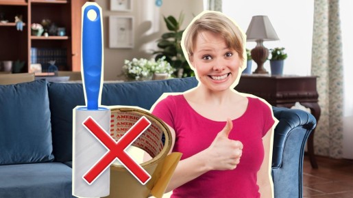 Без скотча и липкого ролика: вот как можно собрать шерсть с дивана за секунды