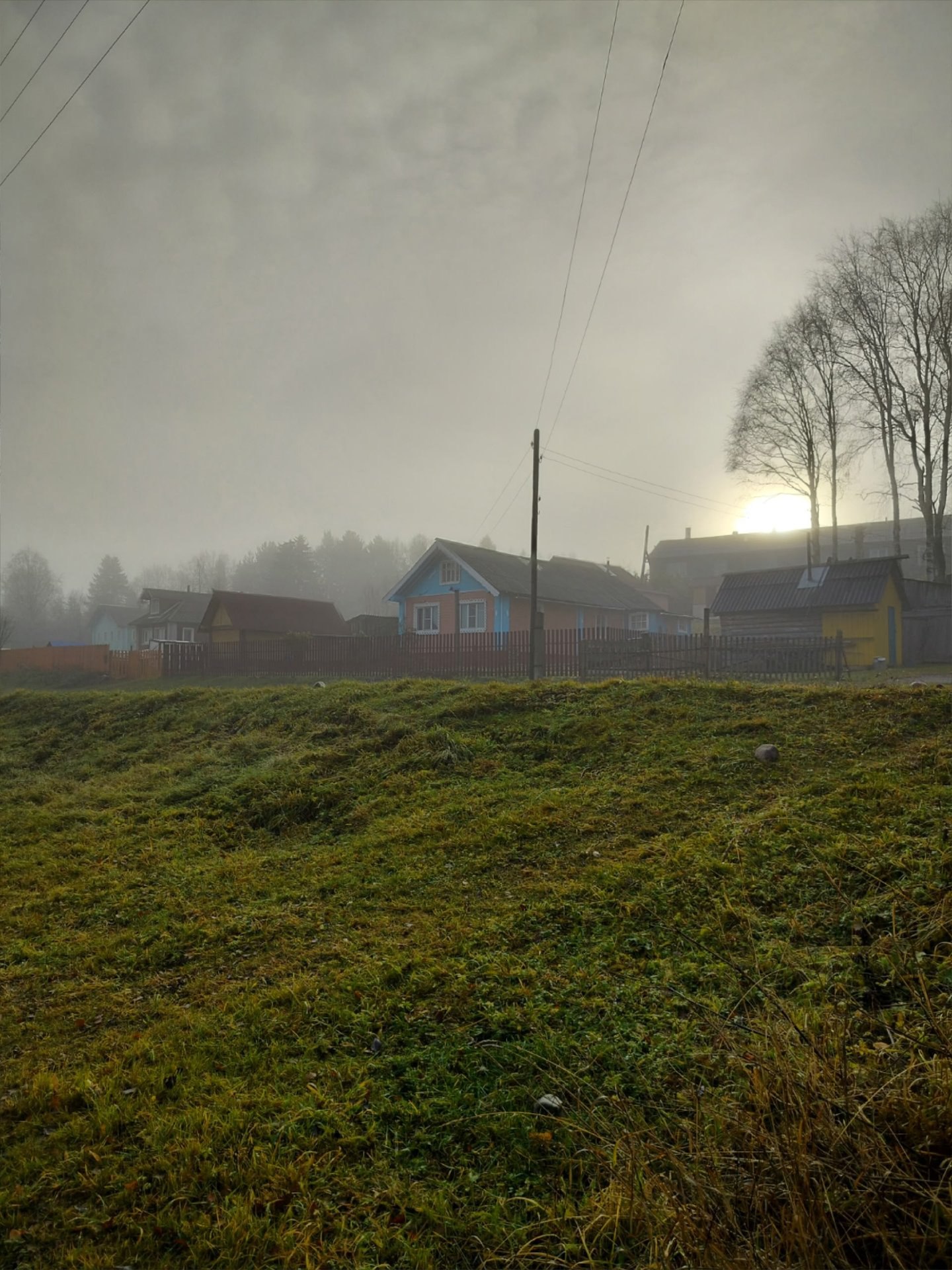 Наталья Медведкова запечатлела туманное утро в деревне Наталья Медведкова запечатлела туманное утро в деревне