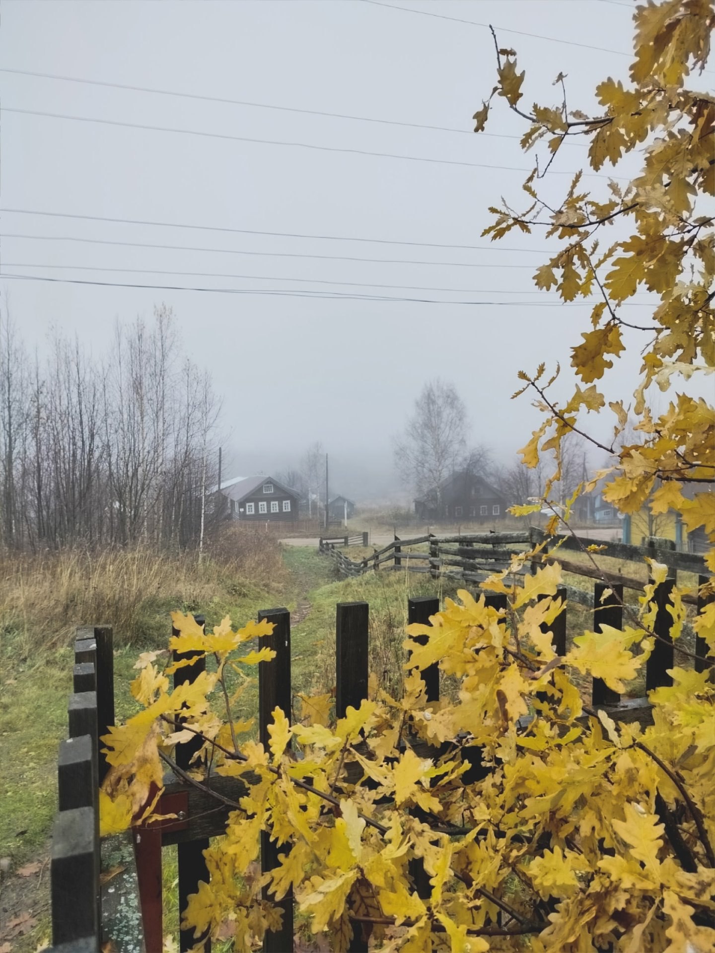 Наталья Медведкова запечатлела туманное утро в деревне Наталья Медведкова запечатлела туманное утро в деревне