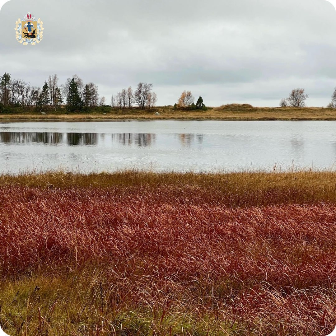 Провожаем октябрь атмосферными кадрами с Соловков Провожаем октябрь атмосферными кадрами с Соловков