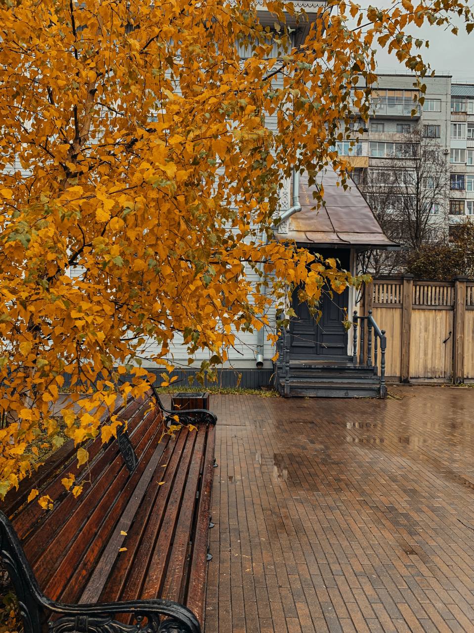 Небо хмурится и на его фоне жёлтые листья кажутся ещё ярче Небо хмурится и на его фоне жёлтые листья кажутся ещё ярче