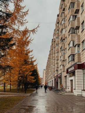 Небо хмурится и на его фоне жёлтые листья кажутся ещё ярче