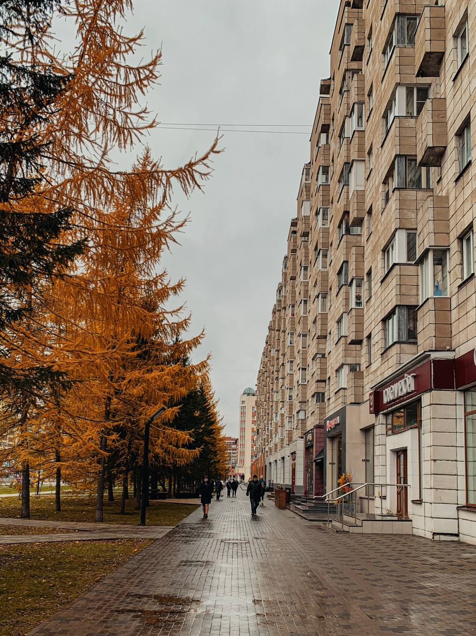 Небо хмурится и на его фоне жёлтые листья кажутся ещё ярче