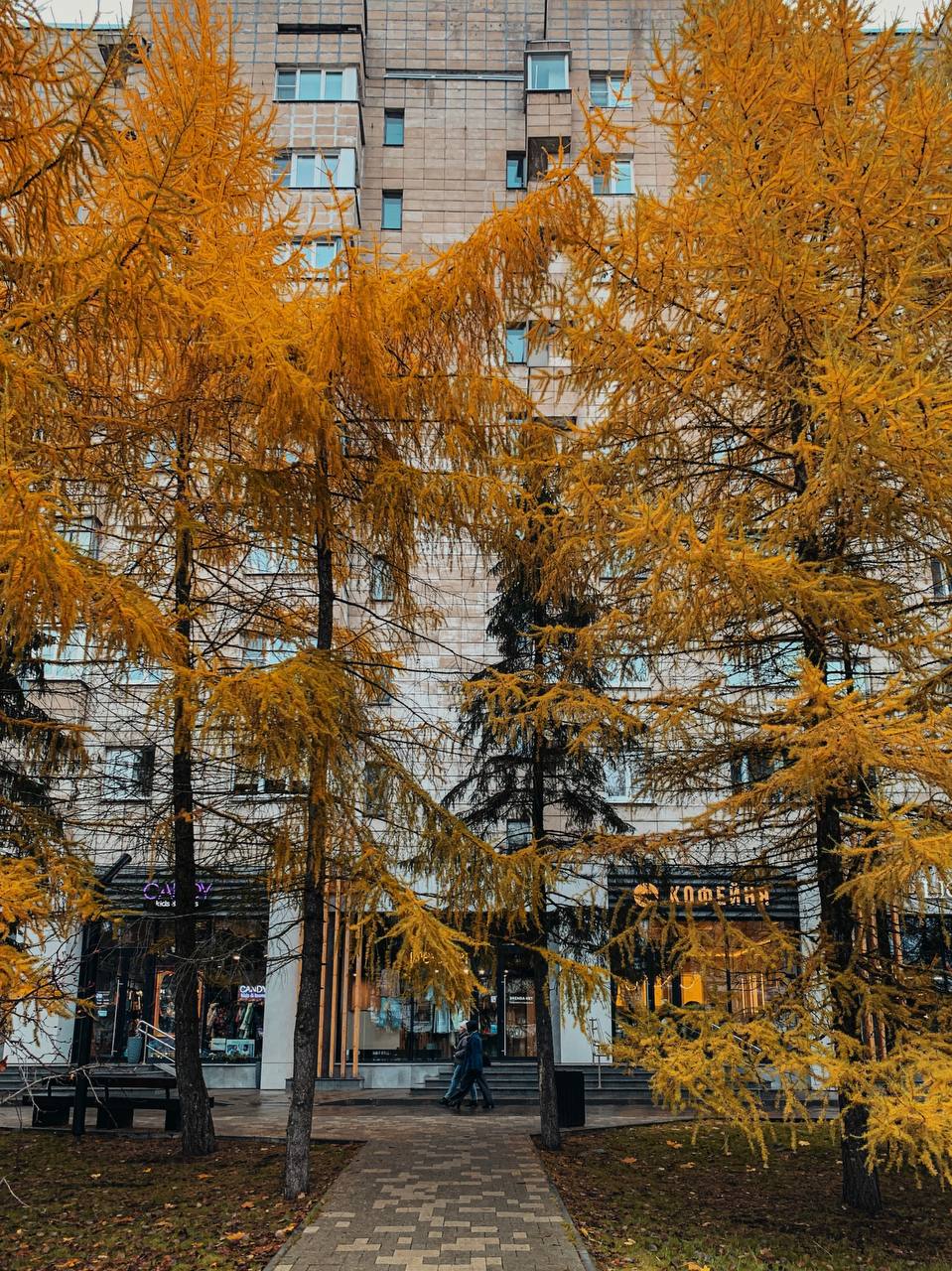 Небо хмурится и на его фоне жёлтые листья кажутся ещё ярче Небо хмурится и на его фоне жёлтые листья кажутся ещё ярче