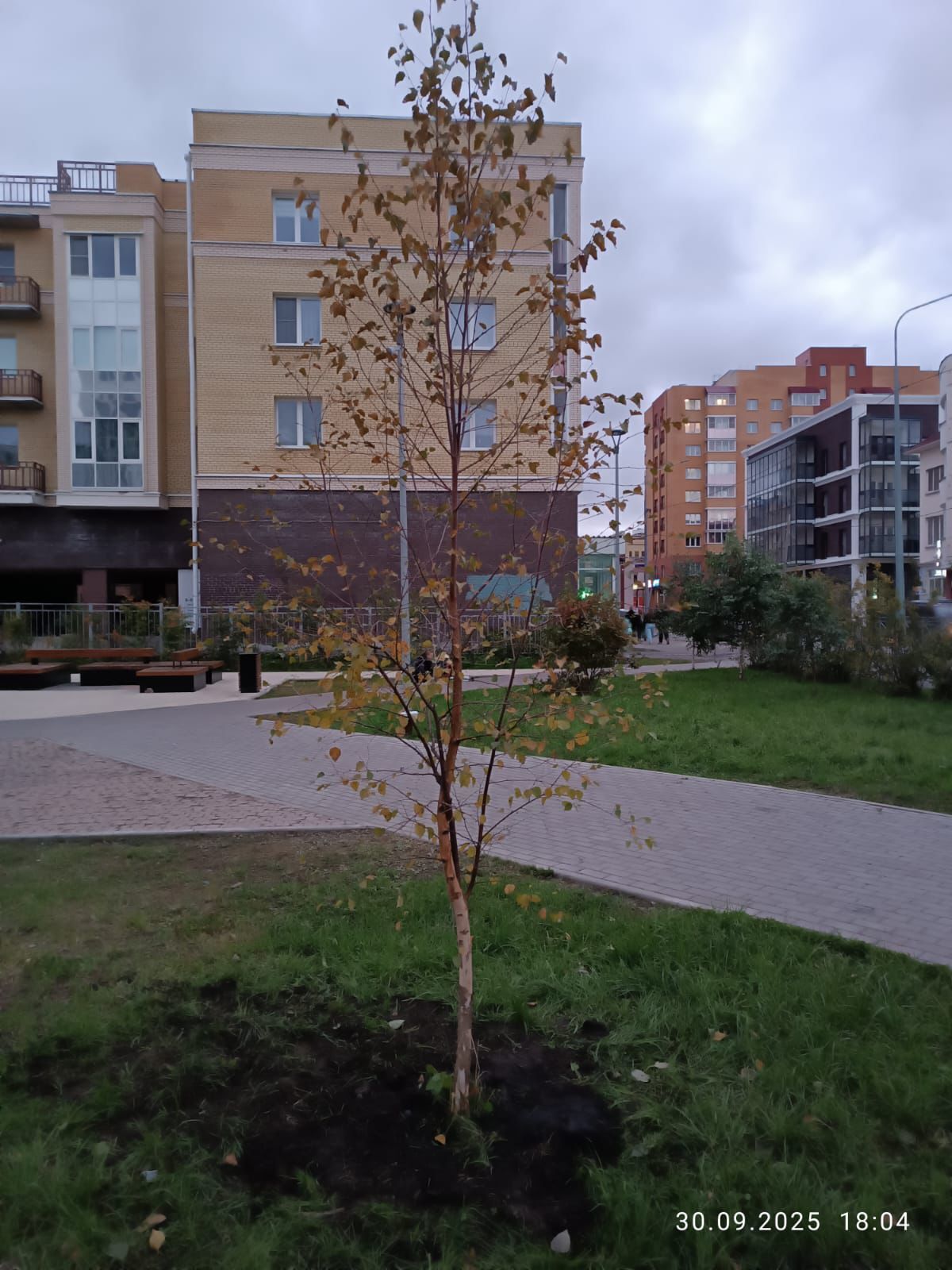 Специалисты "Городского благоустройства" провели дополнительное озеленение сквера Лейцингера Специалисты "Городского благоустройства" провели дополнительное озеленение сквера Лейцингера