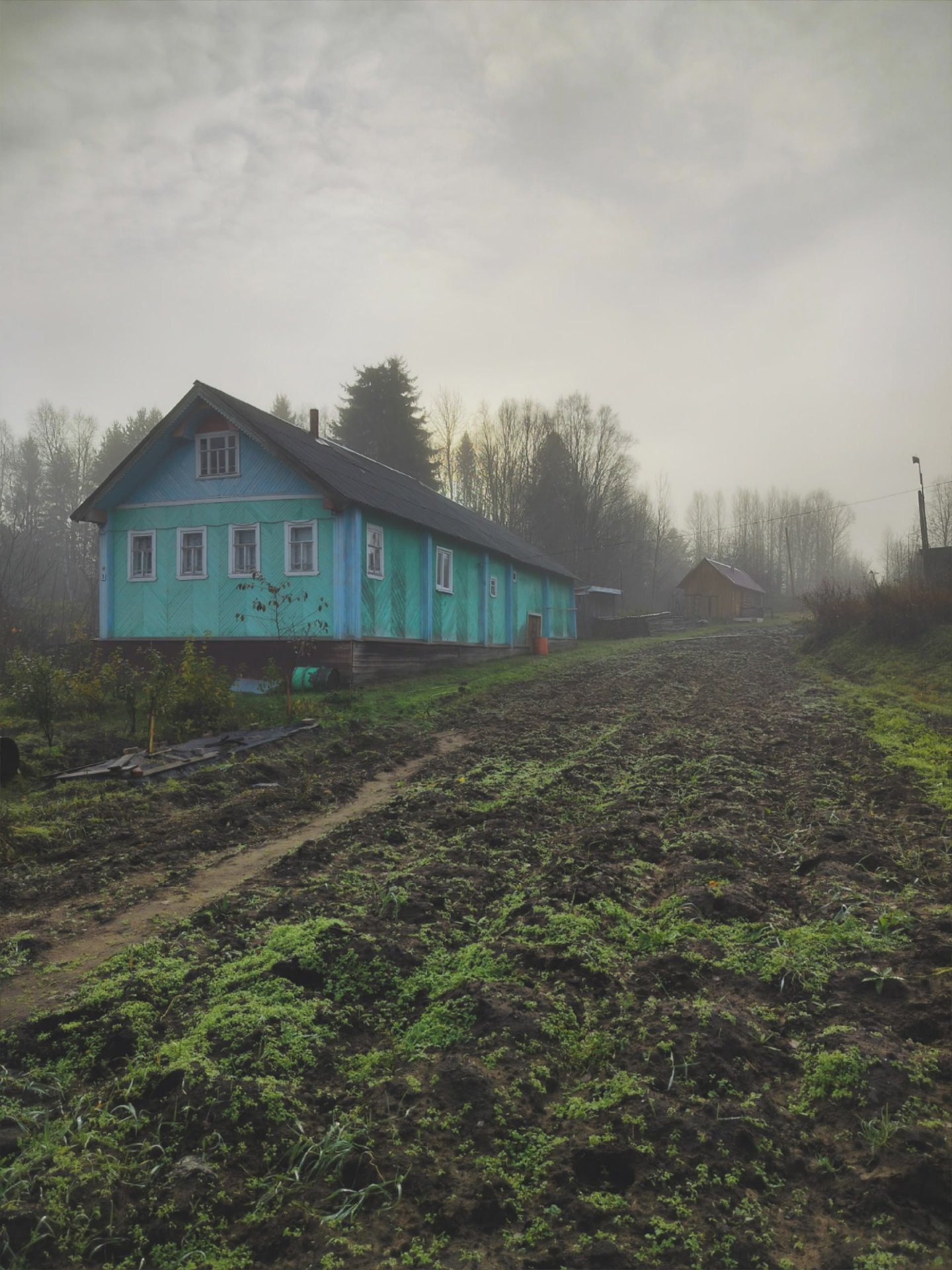 Наталья Медведкова запечатлела туманное утро в деревне Наталья Медведкова запечатлела туманное утро в деревне