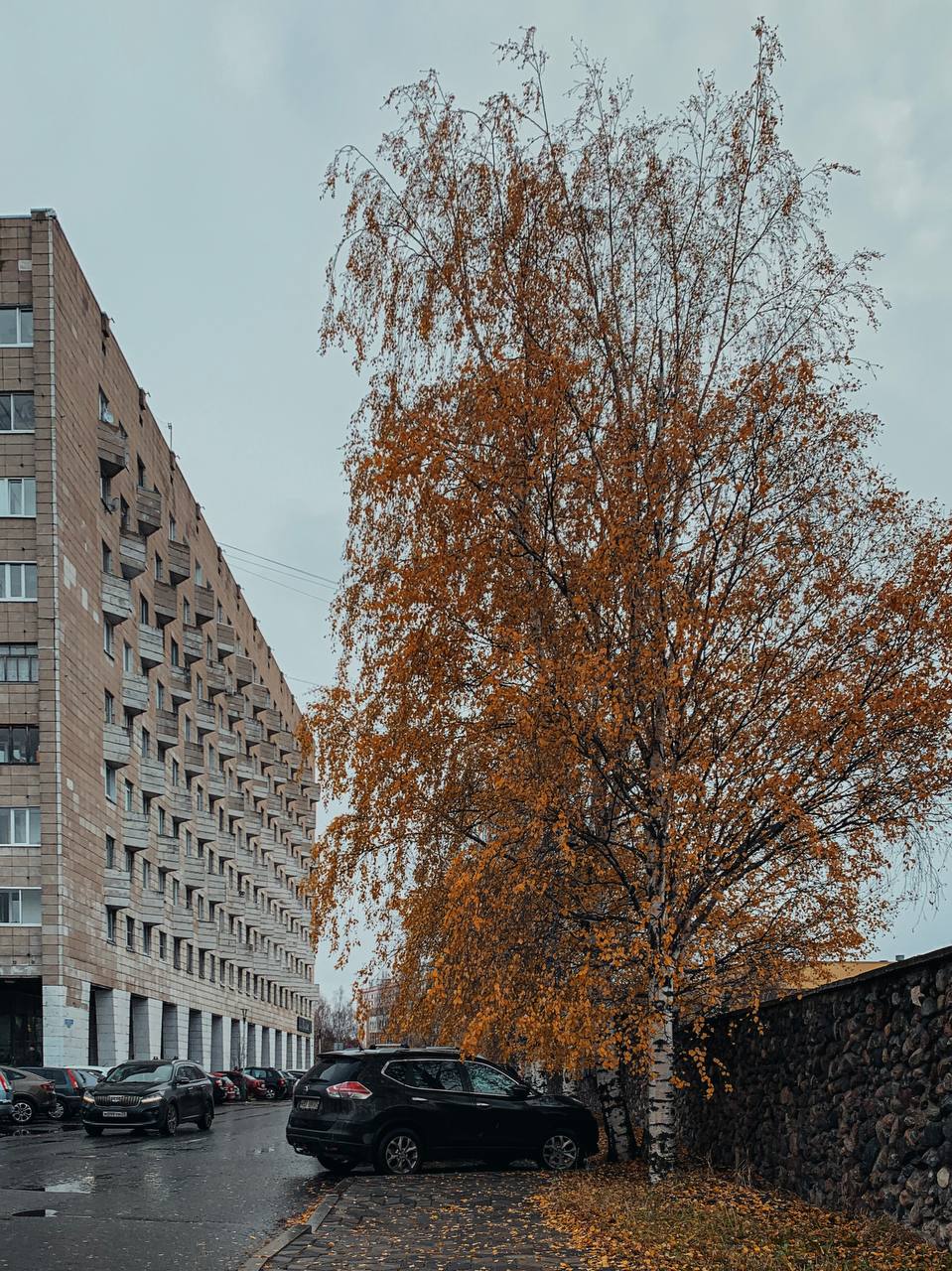 Небо хмурится и на его фоне жёлтые листья кажутся ещё ярче Небо хмурится и на его фоне жёлтые листья кажутся ещё ярче