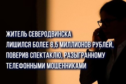 В полицию Северодвинска обратился индивидуальный предприниматель