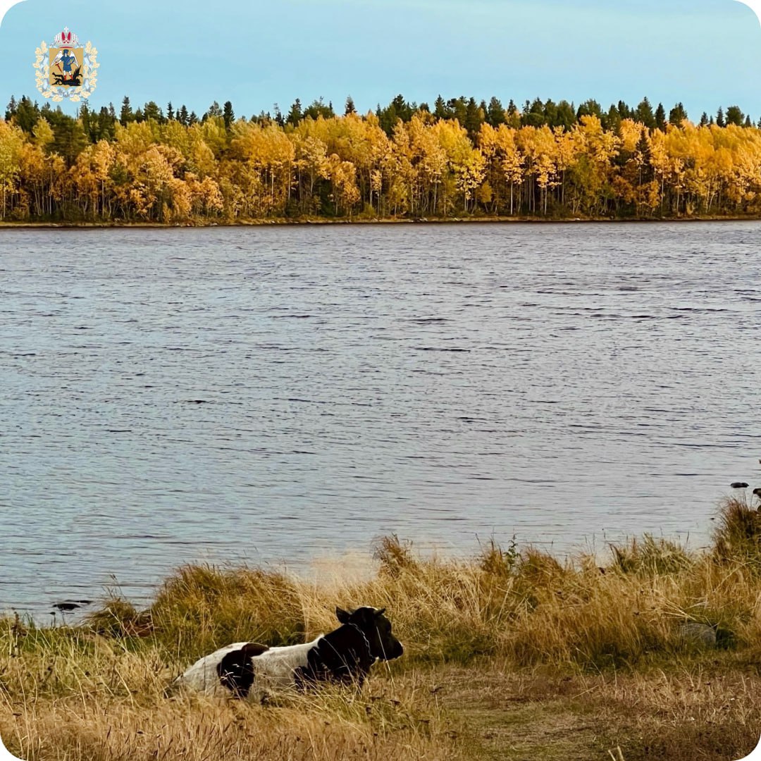 Провожаем октябрь атмосферными кадрами с Соловков Провожаем октябрь атмосферными кадрами с Соловков