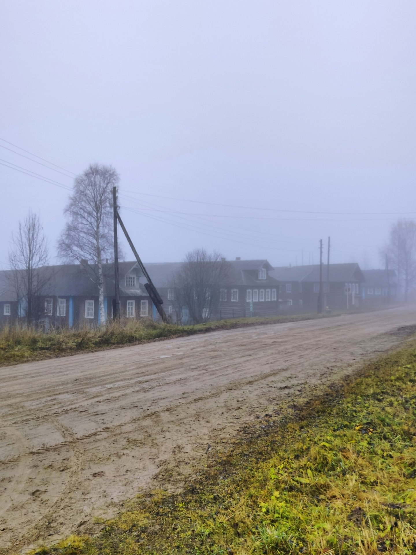 Наталья Медведкова запечатлела туманное утро в деревне