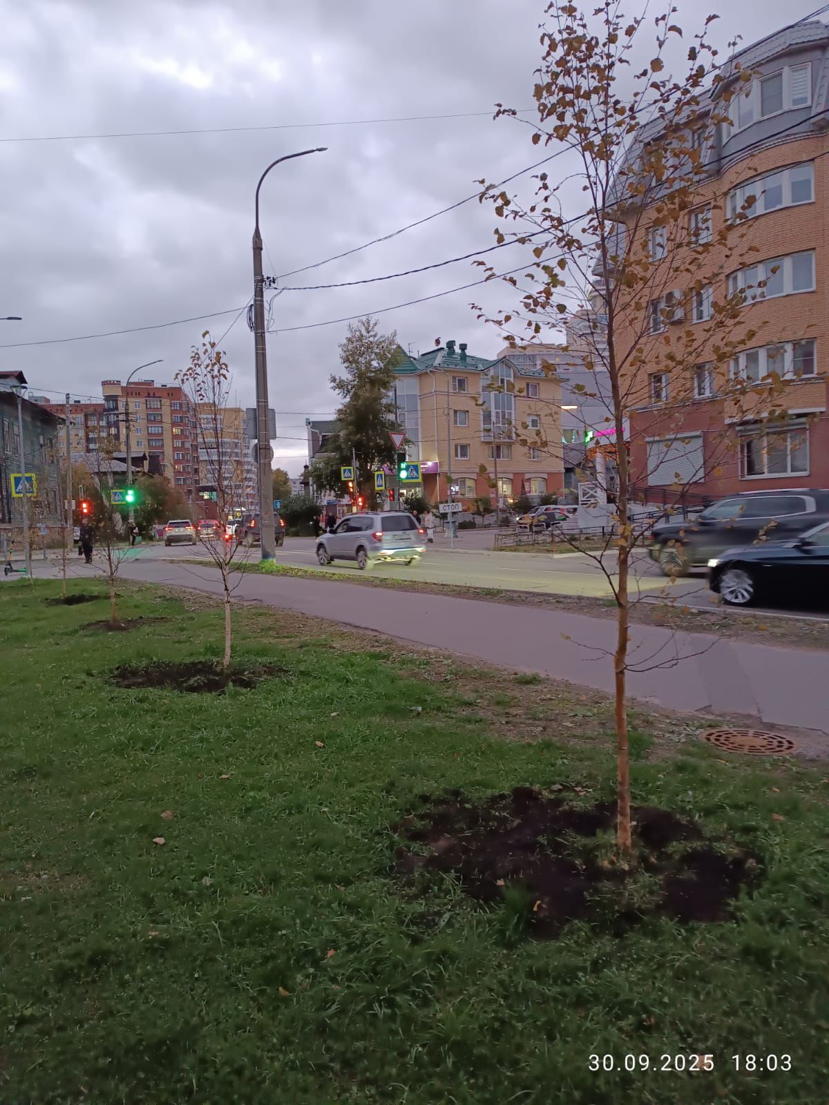 Специалисты "Городского благоустройства" провели дополнительное озеленение сквера Лейцингера