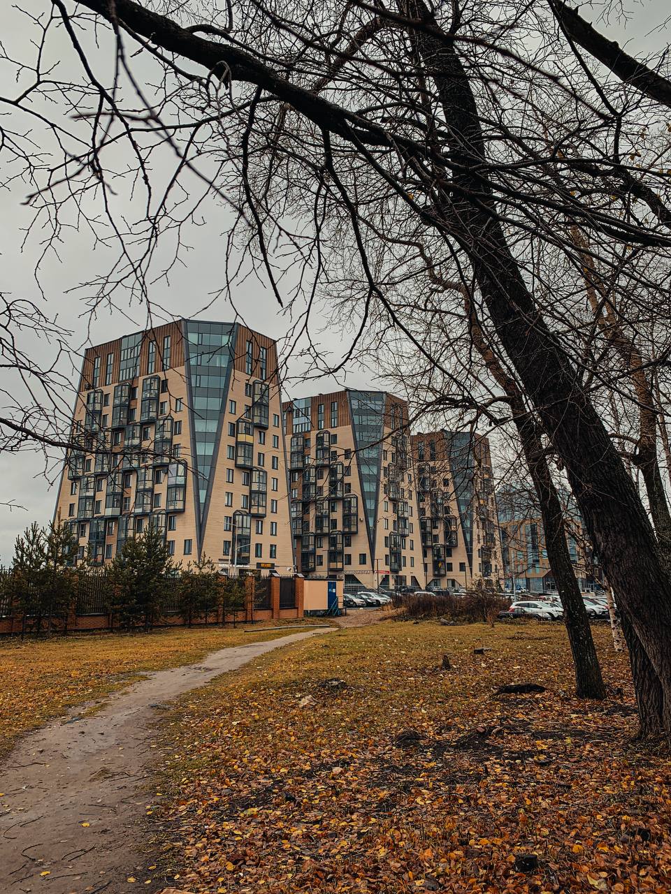 Небо хмурится и на его фоне жёлтые листья кажутся ещё ярче Небо хмурится и на его фоне жёлтые листья кажутся ещё ярче