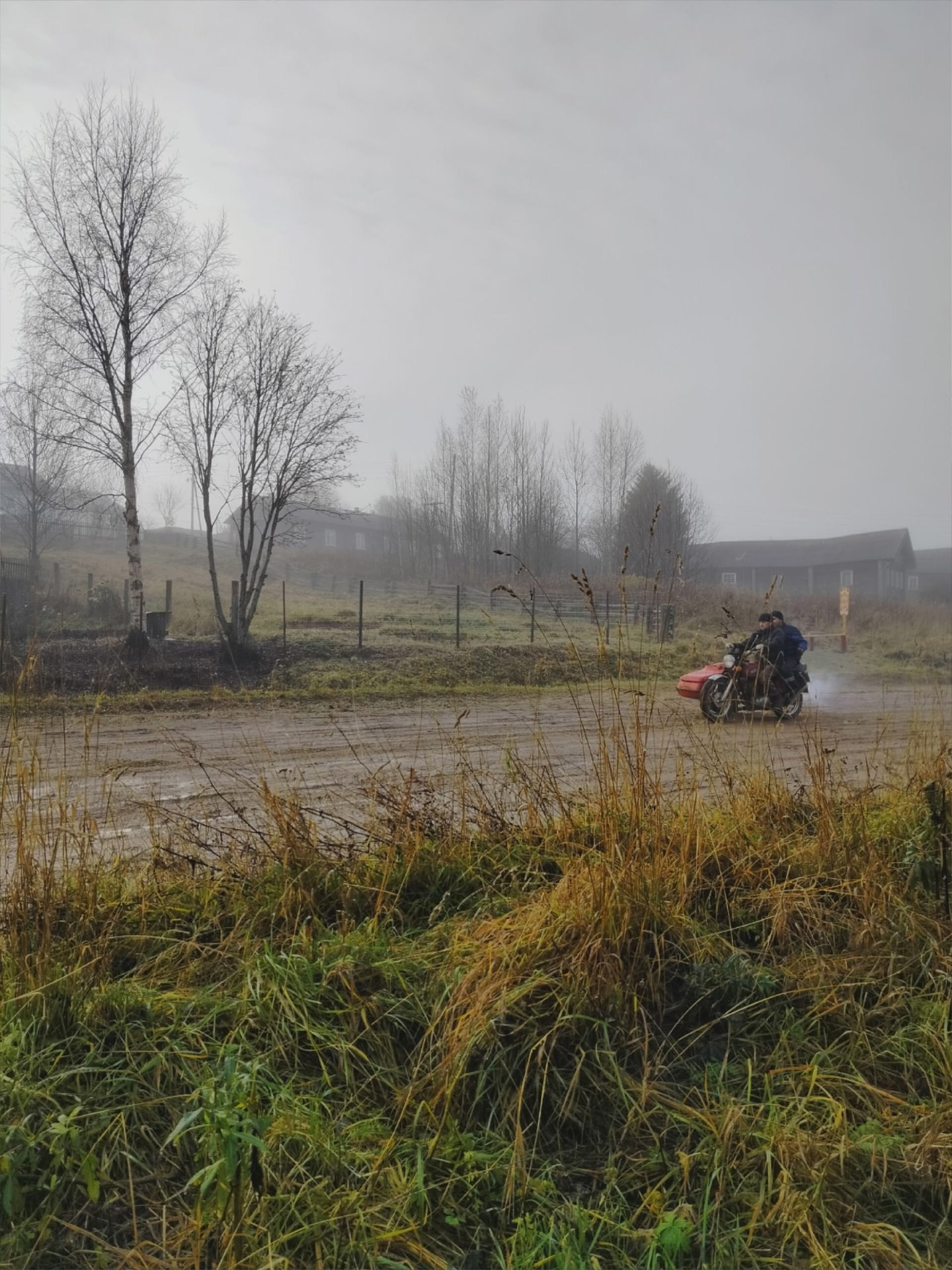 Наталья Медведкова запечатлела туманное утро в деревне Наталья Медведкова запечатлела туманное утро в деревне
