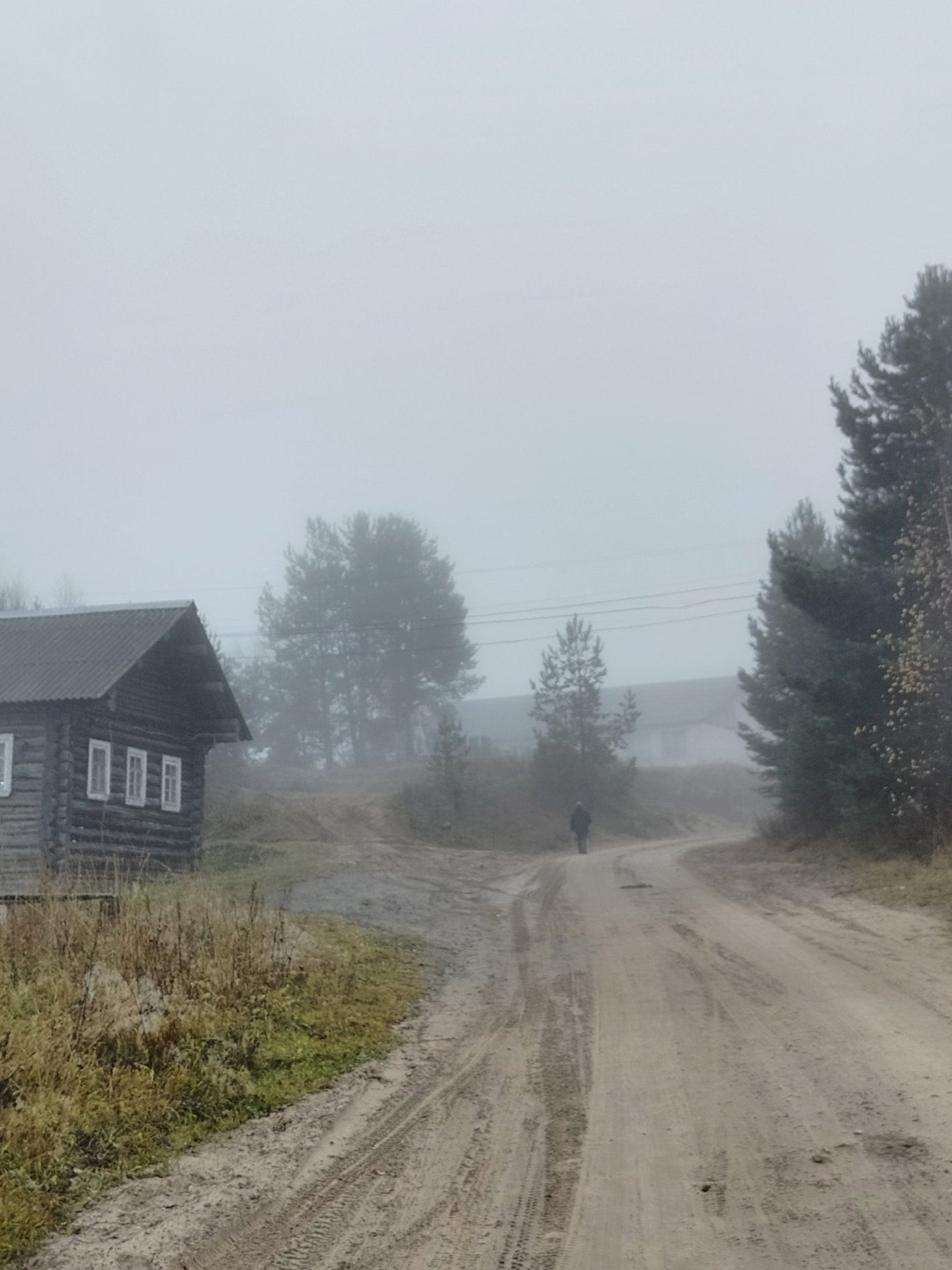 Наталья Медведкова запечатлела туманное утро в деревне Наталья Медведкова запечатлела туманное утро в деревне