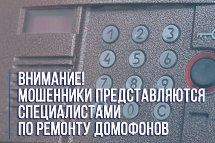 В полицию обратилась 66-летняя жительница Котласа